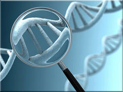 Click for more information about Genes
