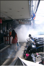 Pattaya in War against its Mosquitos!