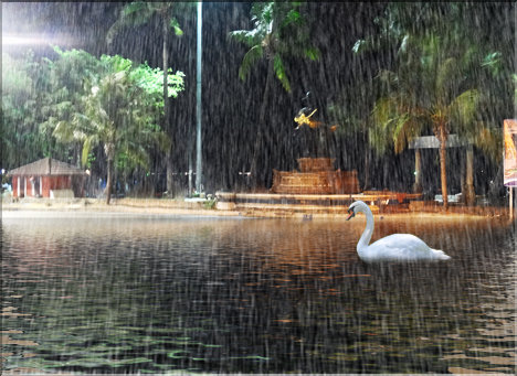 Pattaya-at-Rain