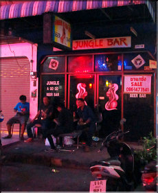 Jungle Bar
