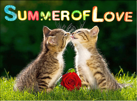 Pattaya's Summer of Love