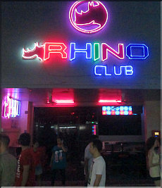 Rhino Cub