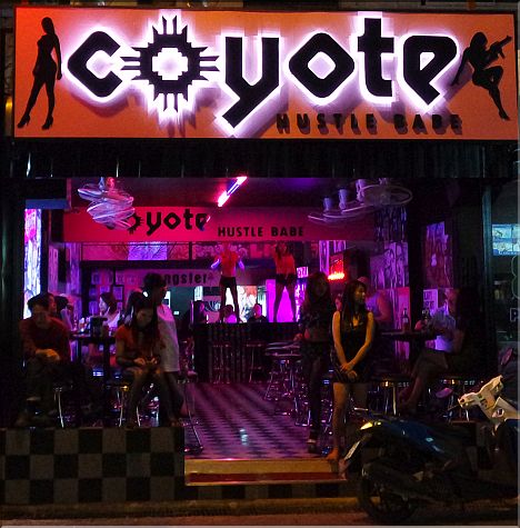 Coyote Hustle Bar