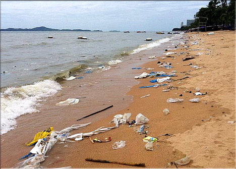 Thai Tourists are a threat to our environment