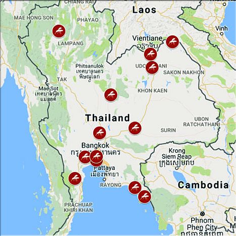 Zika Cases in Thailand
