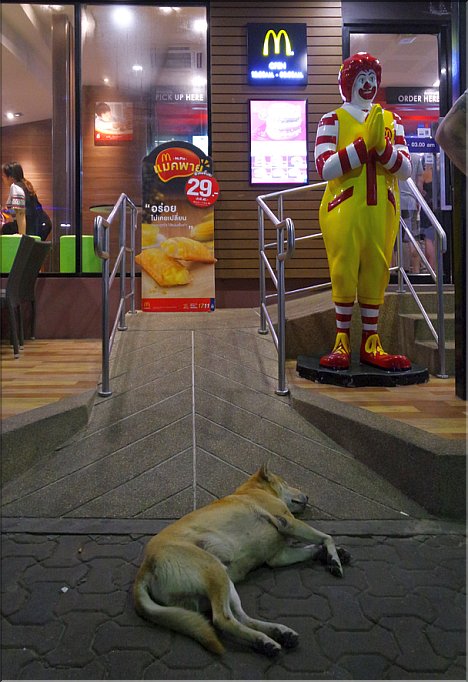 Deadly Food at McDonald's?