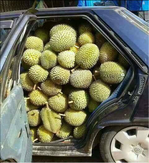 Time for Durian