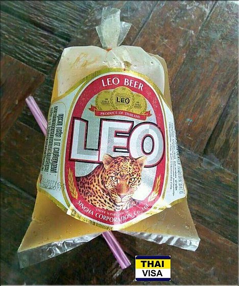 A Leo to go