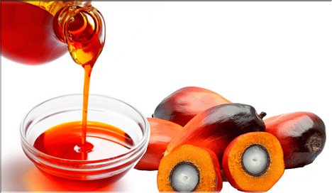 Palm Oil changes chromosomes and DNA
