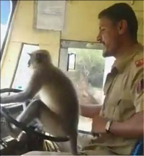 Bus Driver in India
