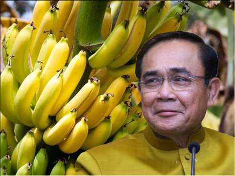 We are the Original Banana Republic'