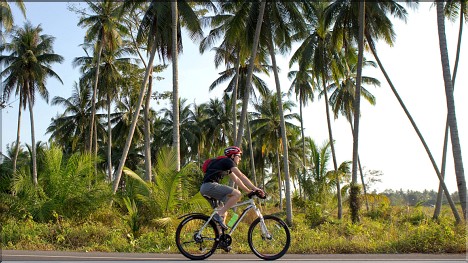 Riding a Bicycle in Pattaya