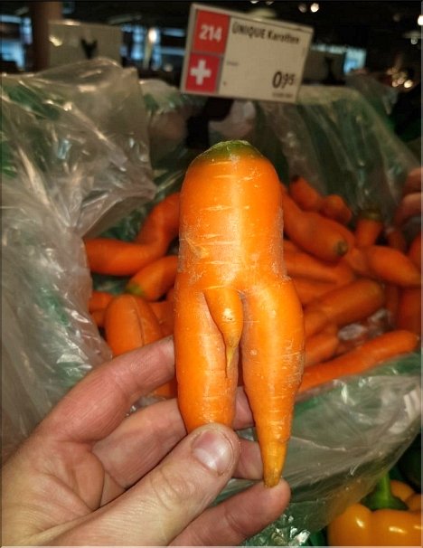 Carrots in Switzerland