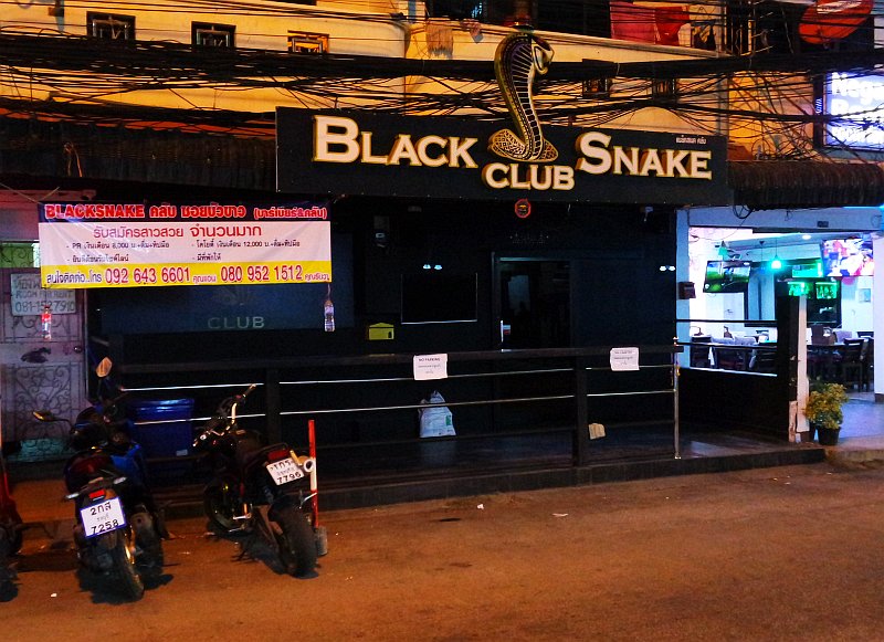 Black Snake in the Dark