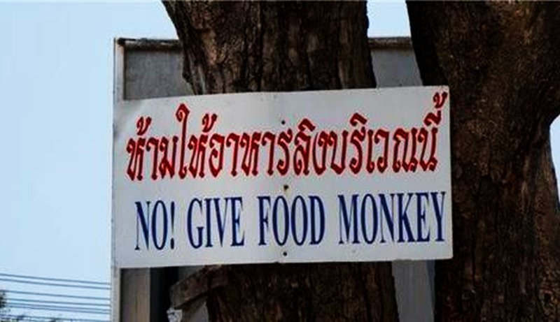 Monkey advice