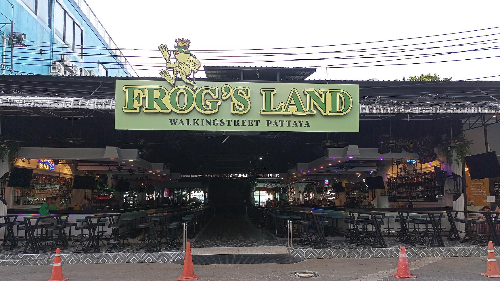 Frog's Land
