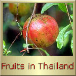Fruits in Pattaya