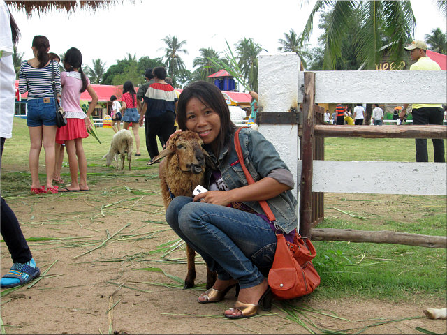 NightWalker's Pattaya Picture Show: Pattaya Sheep Farm