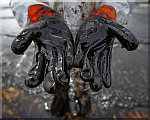 Crude Oil Disaster